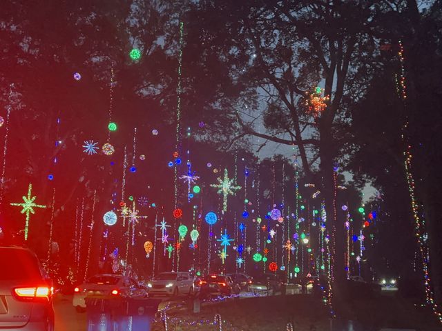 Christmas Village Light- Drive thru 