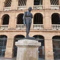 Bull Fighting Arena