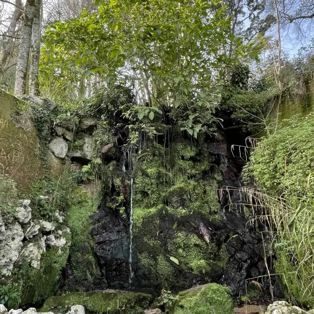 Quinta da Regaleira, Sintra 💝