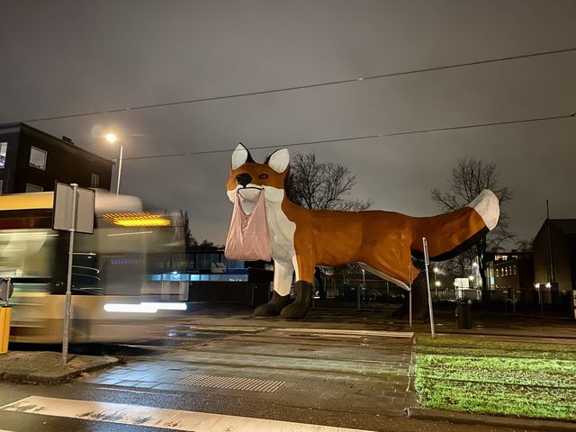 荷蘭🇳🇱Schiedam超巨型狐狸打卡點🦊