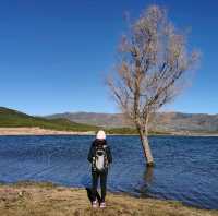 Longnv Lake(龙女湖)| Solitude and Beauty