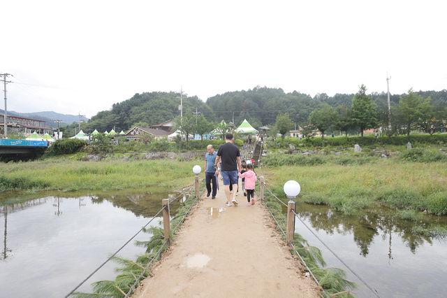 평창 메밀꽃축제 