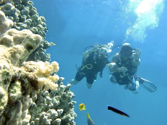 Diving in the Red Sea 