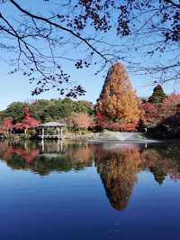 Japan Hokuriku Deep Tour - Searching for Doraemon's Hometown in Takayama City