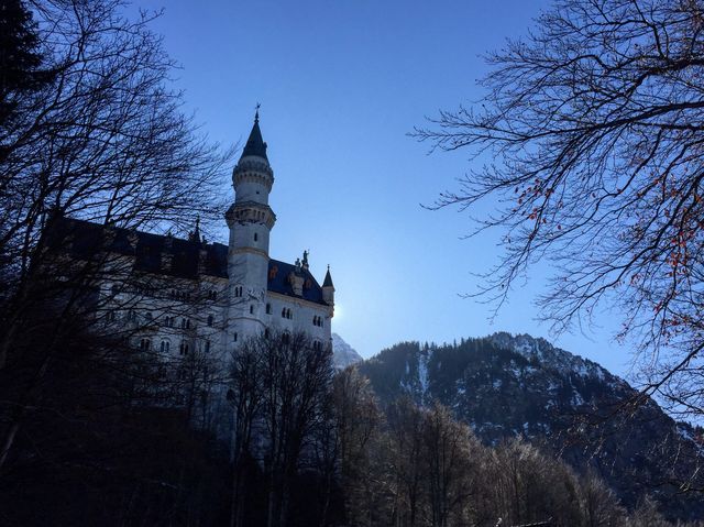 In the fairytale-like Neuschwanstein Castle, admire the fairyland-like snow scenery of the Alps.