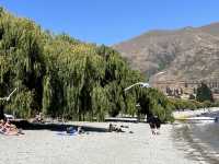 The tranquil lakeside of Wanaka Roy Bay.