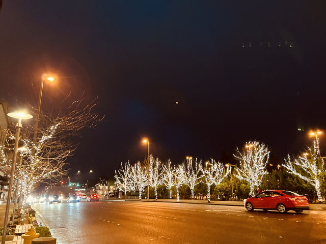 Seattle Bellevue is just at the dimly lit place.