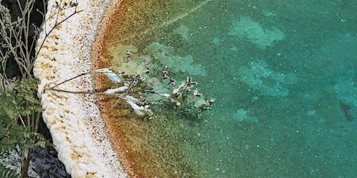 bianca bondi: a preservation method | Dallas Contemporary