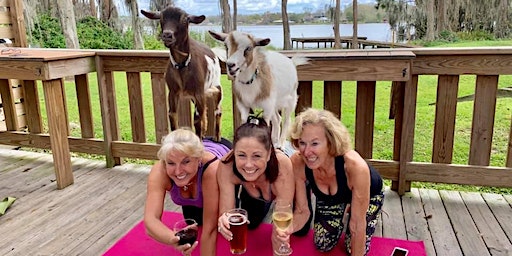 Goat Yoga Tampa @ Loud Mouths - One Year Anniversary; 12/30/23 | 2624 Land O' Lakes Blvd