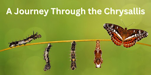 Art Show by Nikki Nous: Journey Through The Chrysalis | Caba Creatives