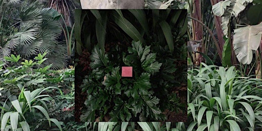MPavilion—Writing as World-Making | Queen Victoria Gardens