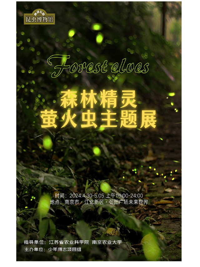 [南京首場螢火蟲博覽會]「夢幻森林精靈」《森林精靈螢火蟲》主題展｜展覽休閒 | 南京弘陽廣場
