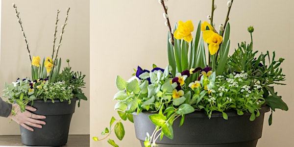 Make-n-Take : Cold Tolerant Container Garden at Mahoney's Chelmsford | Mahoney's Garden Center - Chelmsford