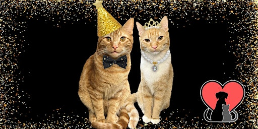 Whiskers & Wishes: 50 Years of Purrs, Tail Wags and Second Chances | Solon Community Center