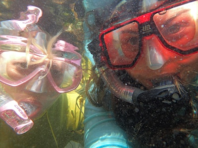 Radical Rockpooling | Cape Cornwall