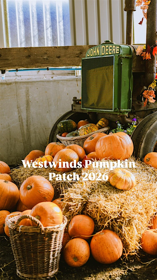 Westwinds Pumpkin Patch - 1 ticket per car, not per person | Westwinds Patch