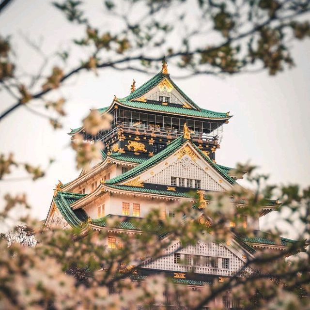 Osaka Castle Vibes!, Japan