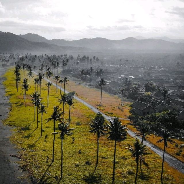 LAMPON BEACH - BANYUWANGI