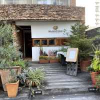 名古屋丸の内🍝大人の隠れ家イタリアン【クラシコ・クッチーナ・イタリアーナ】 