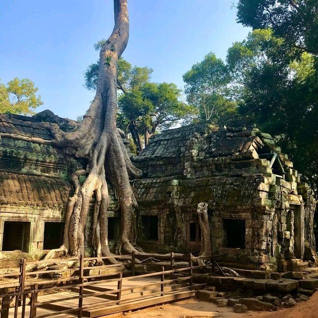 ANGKOR WAT