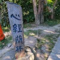 色即是空，空即是色之心經簡林