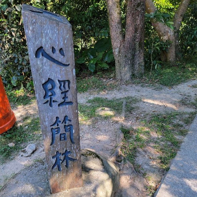 色即是空，空即是色之心經簡林