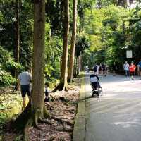 Family Friendly Nature Park at Bukit Batok