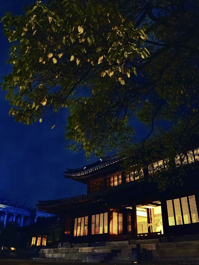 궁궐의 재발견, 서울 도심의 낭만 덕수궁✨