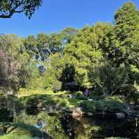 보타닉가든-마운틴쿠사 : Brisbane Botanic Gardens