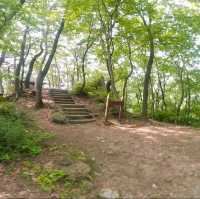 용봉산 등산