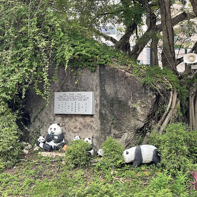 賞花看海好去處👍