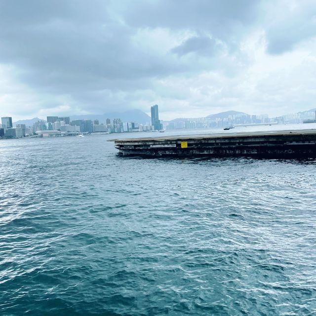金紫荊廣場睇埋無敵海景