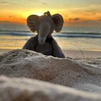 Beautiful view on Bangtao beach.