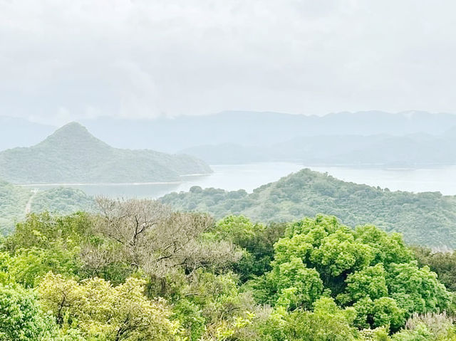 高棚頂