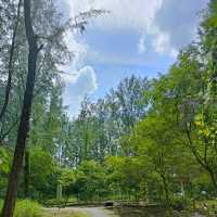 Coney Island Park