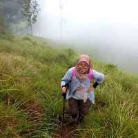 Hiking in the higlands of Munnar