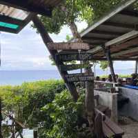 Bee-autiful Experience in Panglao