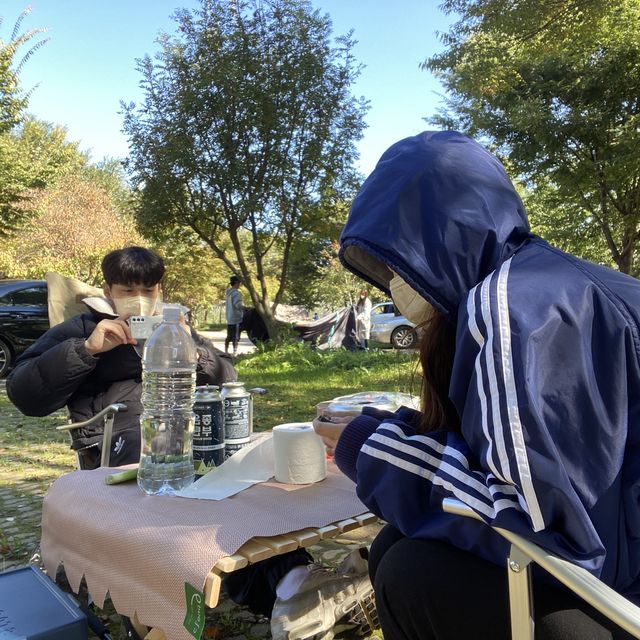 서울 근교 캠핑장 추천, 자라섬✨