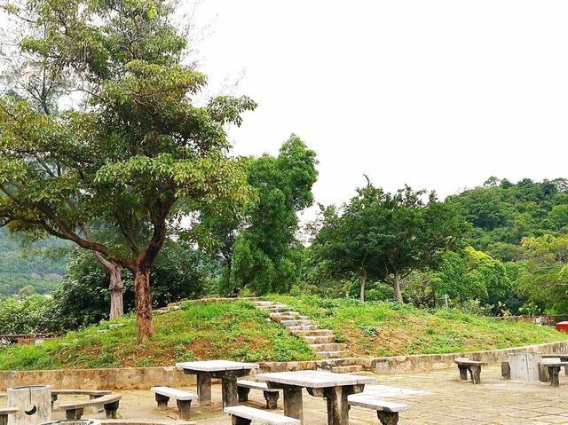 大美督郊遊好去處