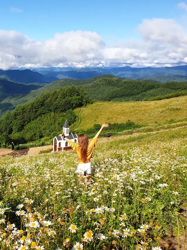 한국의 스위스, 데이지가 피어나는 곳🌼