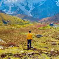 nanga prabat base camp