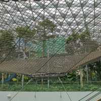 On The Next Level: Jewel Changi Airport 