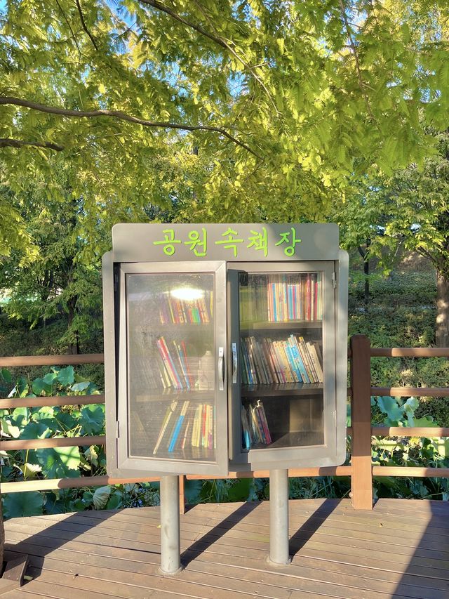 🌿레솔레파크_동화 속 책장🌿