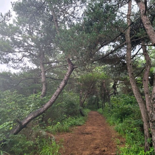 여행을 떠나요 제부도 제비꼬리길 탑재산