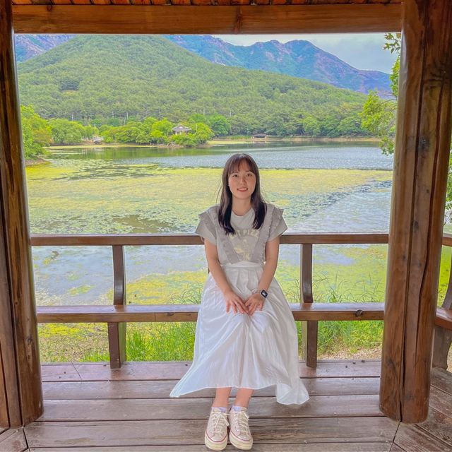 부산근교 산책하기 좋은 여행지, 밀양 🌱