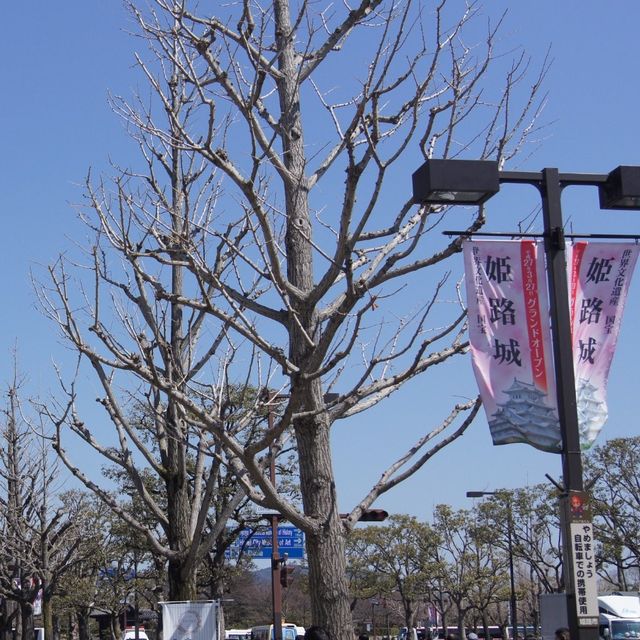 日本最早的世界遺產～姬路城 🏰 