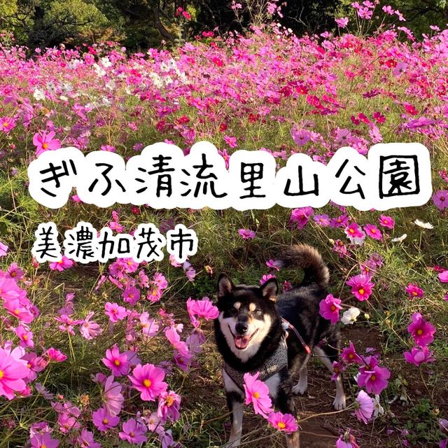 昭和30年代へタイムスリップ