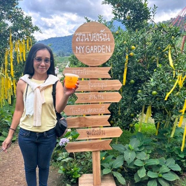 🍊🌿สวนของฉัน My garden ม่อนแจ่ม เชียงใหม่  🌿🍊 