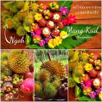 🍄 Ling Noi Farm🥀พัทลุง