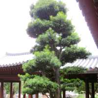 Chi Lin Nunnery and Nan Lian Garden